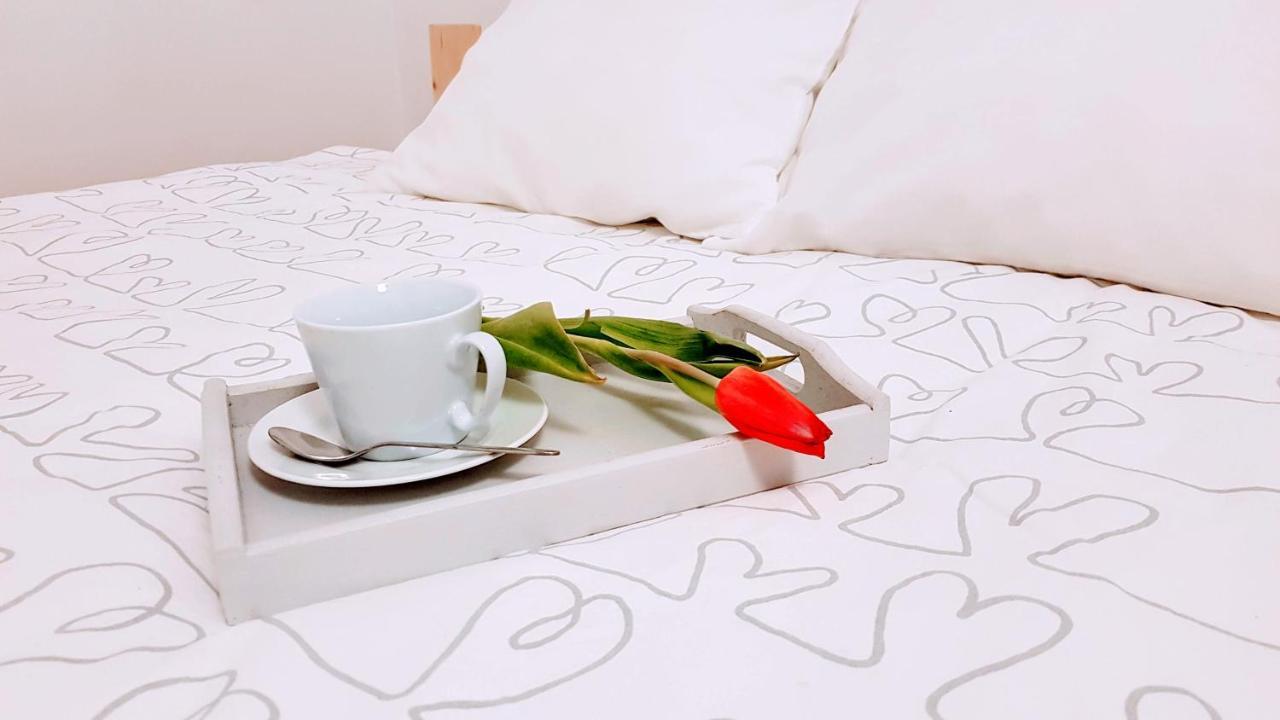 Rynek Staromiejski Apartment 科沙林 外观 照片